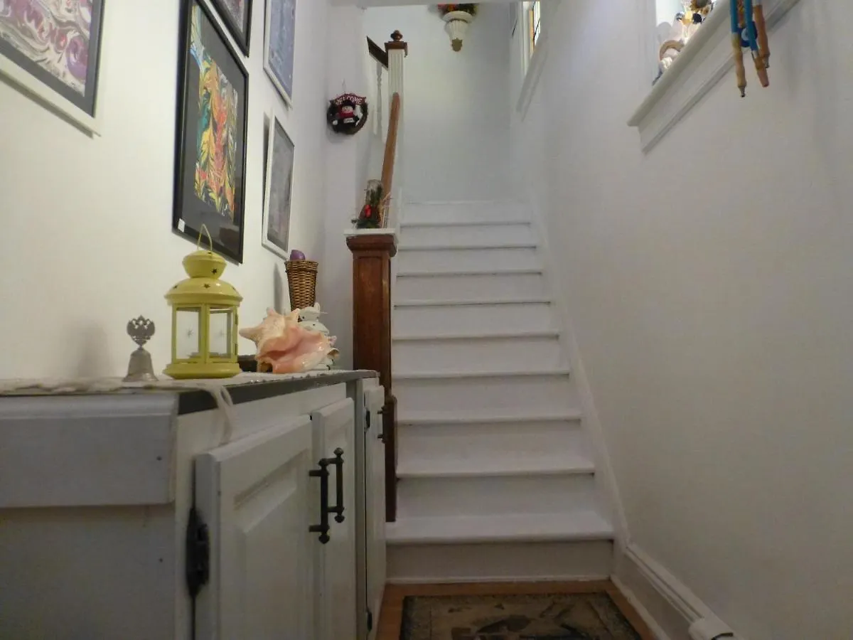 Classical American House 3 New York United States